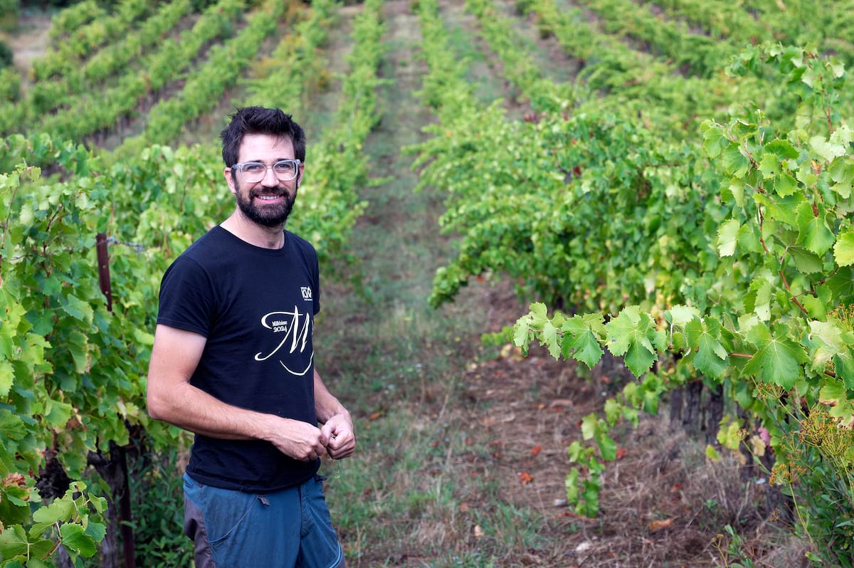 Domaine Angel Montgros (34)