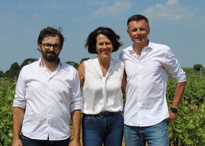 Domaine Puech Roques (81)