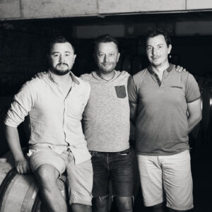 Domaine Verzier (42)